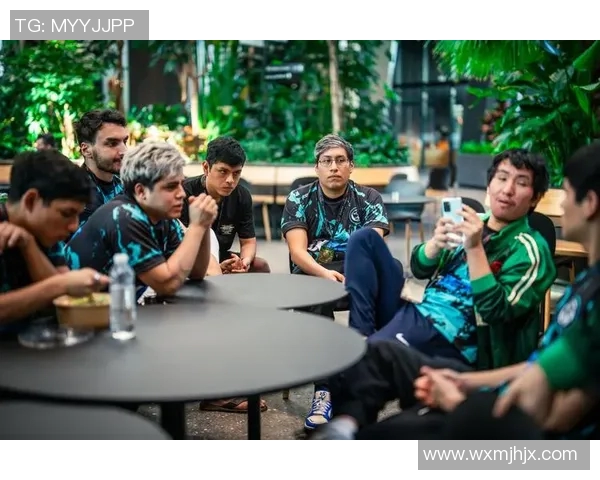 DOTA2战术解析：WE战队如何构建高效节奏体系与团队协作策略