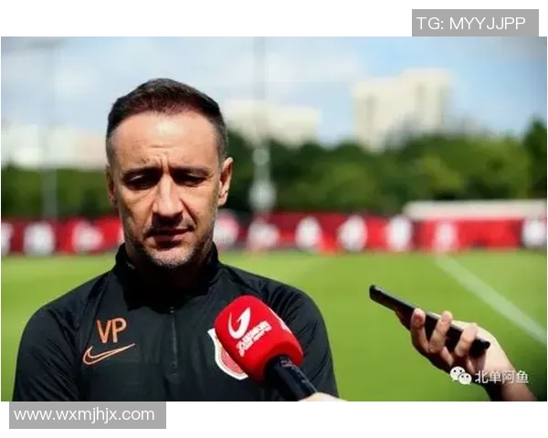 上海羽毛球队实力之争引发热议球迷观点各异引发广泛讨论