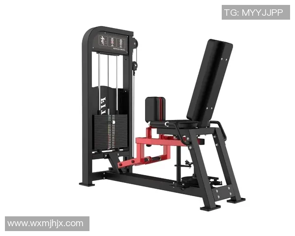 济南健身器材批发市场地址和选购经验分享