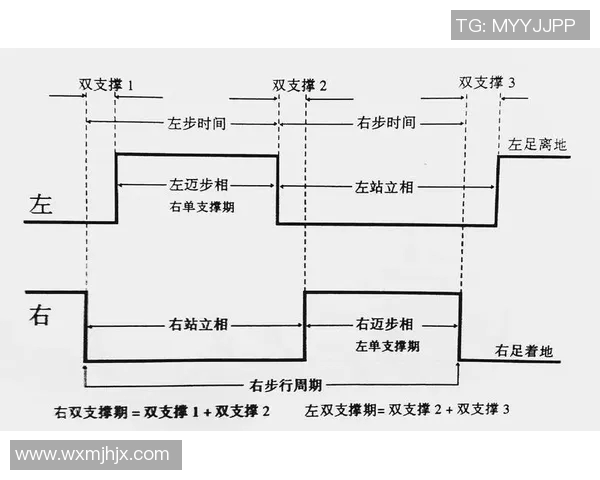 运动康复创新路径探索与实践：提升运动员恢复速度与效果的策略分析