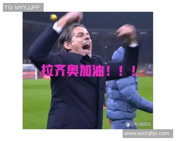 高清加油图片合集：意甲球队球迷视觉素材精选